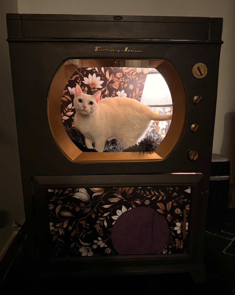 CUSTOM Cat bed and litter box enclosure made from 1950s Stromberg-Carlson television.