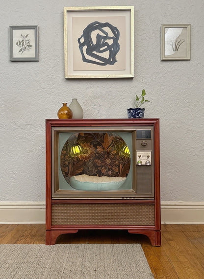 Cat or small dog throne made from 1950s RCA-Victor television