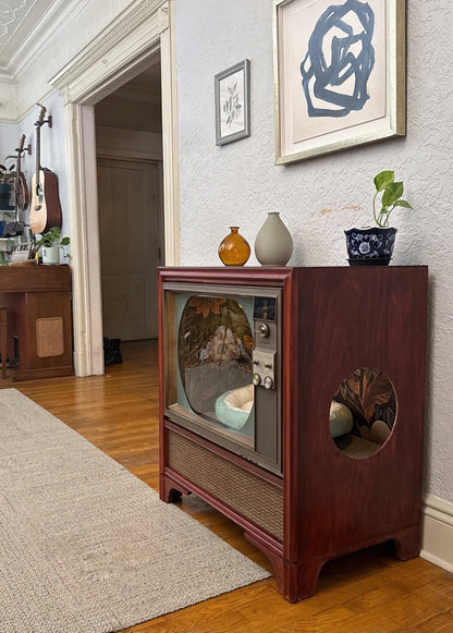 Cat or small dog throne made from 1950s RCA-Victor television