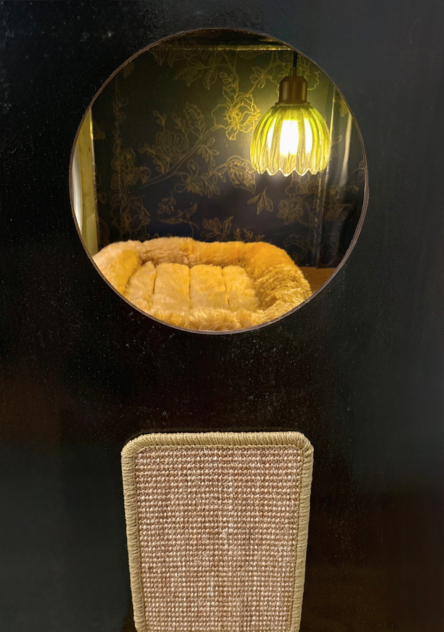 Cat bed and litter box made from 1950s Philco TV (CUSTOM ORDER)