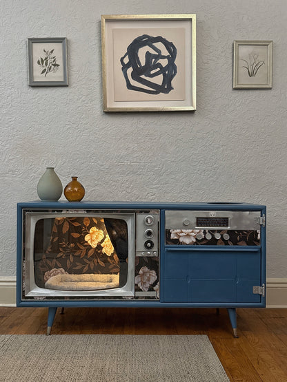 Cat hotel with litter box enclosure made from a 1970s Catalina TV console