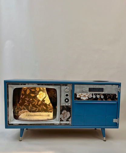 Cat hotel with litter box enclosure made from a 1970s Catalina TV console
