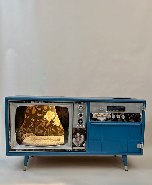 Cat hotel with litter box enclosure made from a 1970s Catalina TV console