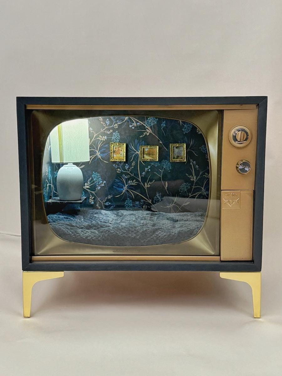 Cat or small dog bed upcycled from 1952 Dumont TV