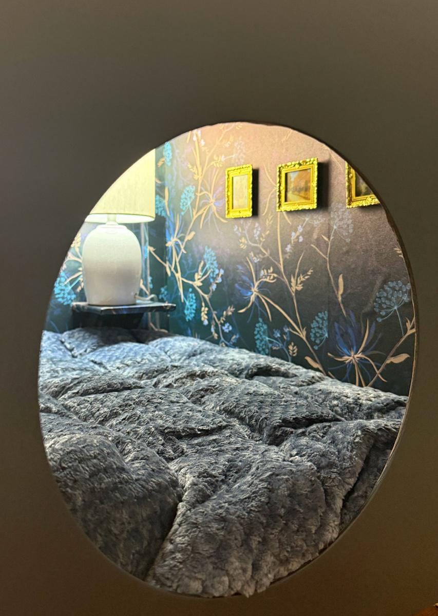 Cat or small dog bed upcycled from 1952 Dumont TV