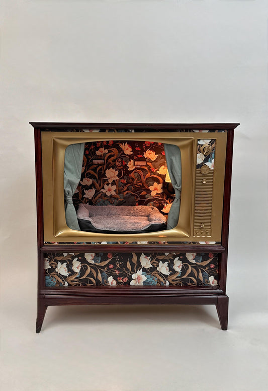 Cat or small dog bed made from 1963 Philco TV