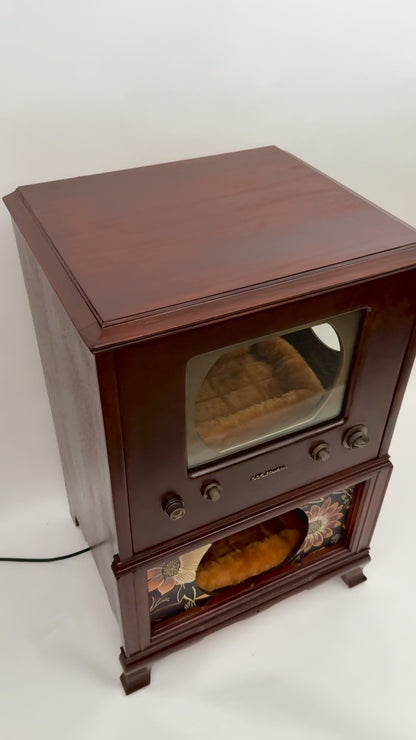 Double cat bed made from 1950s RCA-TV